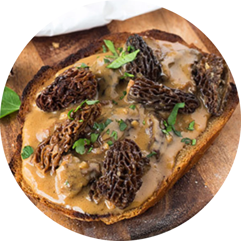 Croûtes aux morilles